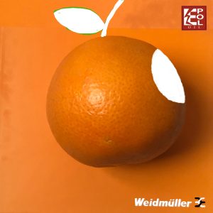 DPS SUPRESOR ELECTRICO